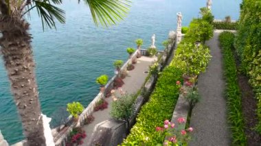 Isola Bella palm tree.