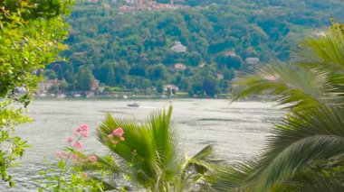 Su, doğa ve şehir.