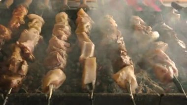 Mangal üzerinde pişirildikten kebab.