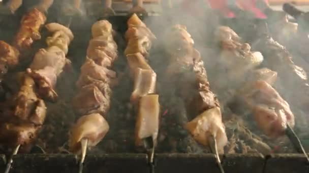 Shashlik sedang dimasak di atas tungku . — Stok Video