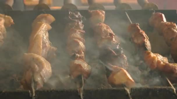 Pork shashlik on brazier. — Stock Video