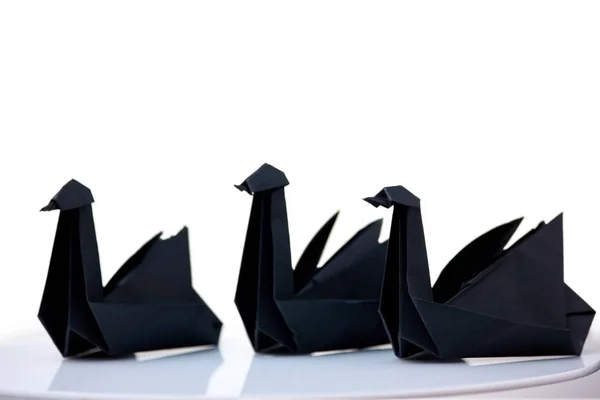 Состав из трех черных лебедей — стоковое фото