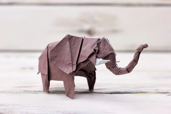 Elephant 3D origami model — Stock Photo, Image