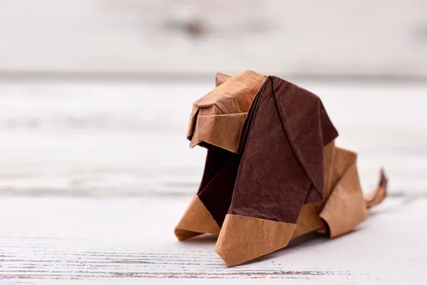 Origami lion modèle 3D — Photo