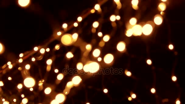 Lights on the tree. — Stock Video