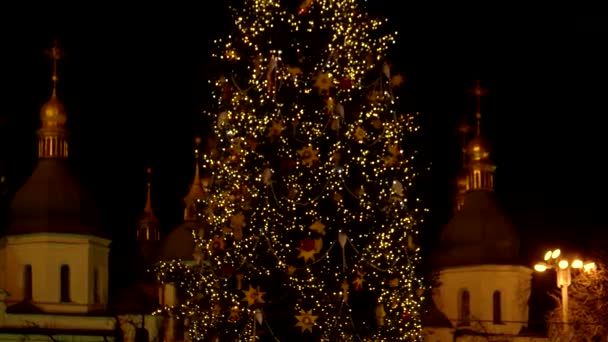 In mezzo all'albero di Natale lampeggiante . — Video Stock