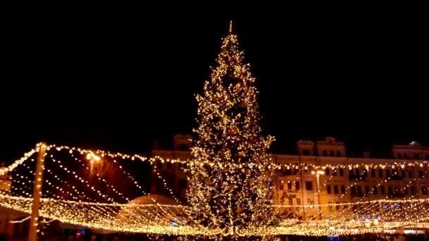 Big Christmas tree with many lights. — Stock Video