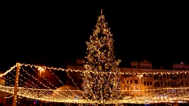 Grande árvore de Natal com muitas luzes . — Vídeo de Stock