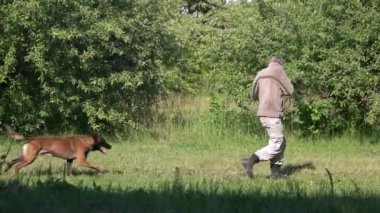 Köpek bir şey tespit ilginç mans eller.