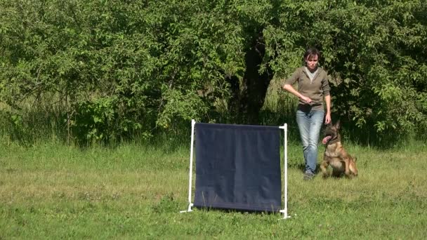 Donna sta ingannando il suo cane . — Video Stock