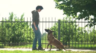 Köpek ödül için komutlar yürütülüyor.