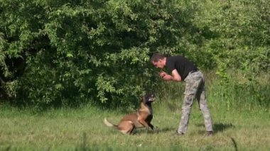 Top olan bir adam üzerinde köpek havlıyor.