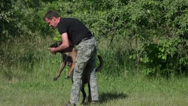 L'uomo sta tirando fuori una palla dalla bocca dei cani . — Video Stock