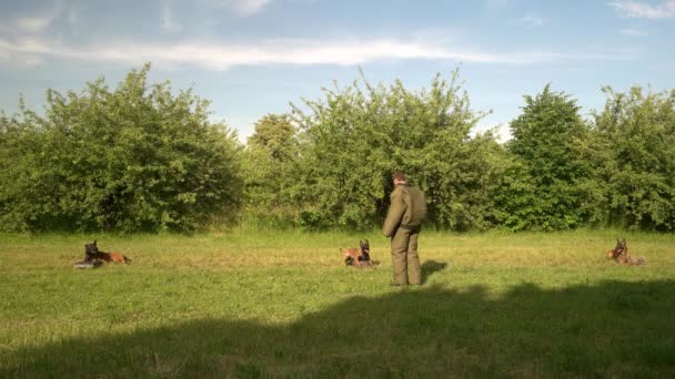 Honden zijn opleiding om een eigendom te beschermen. — Stockvideo