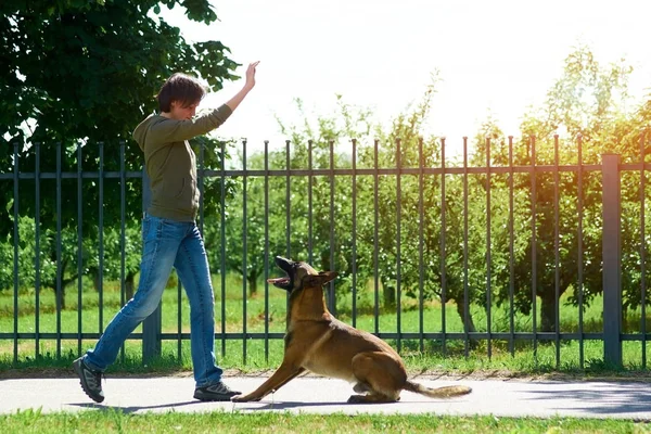 A mulher está levantando a mão direita para cima para fazer seu cão saltar . — Fotografia de Stock