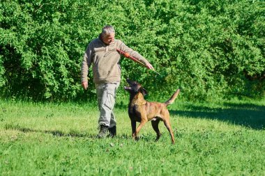 Adam oyuncak köpeği için gösterilen.