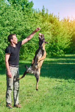 Topu yakalamaya köpektir.