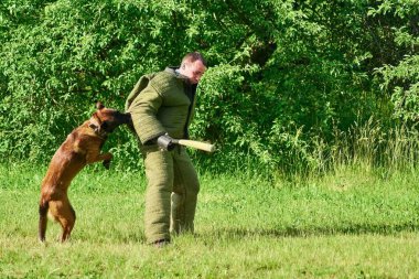 Köpek aniden adam saldırıyor.