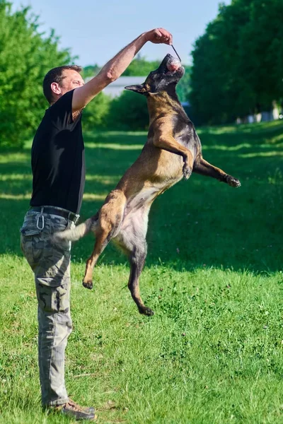 L'homme joue avec le chien en utilisant la balle . — Photo
