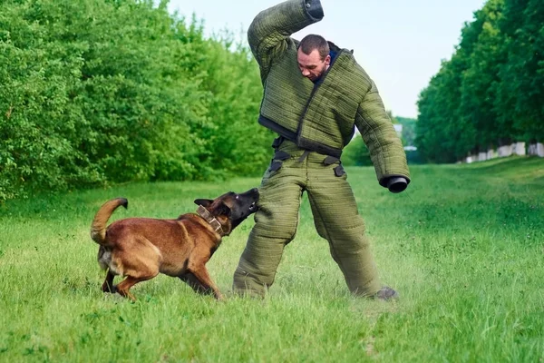 De man is trying te halen afhelpen van de hond. — Stockfoto