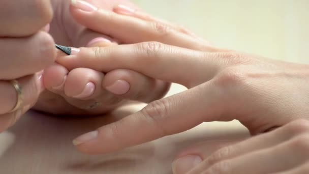 Manicurista applicare vernice incolore . — Video Stock