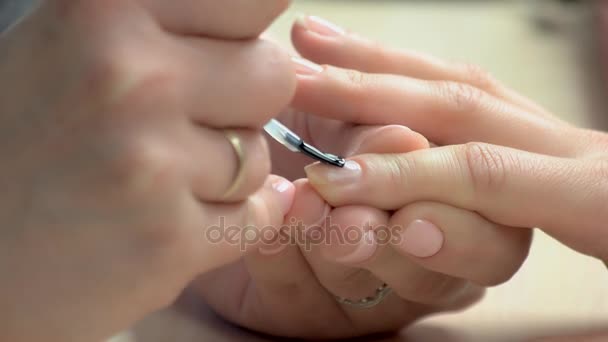 Mujer teniendo manicura en salón de belleza . — Vídeo de stock