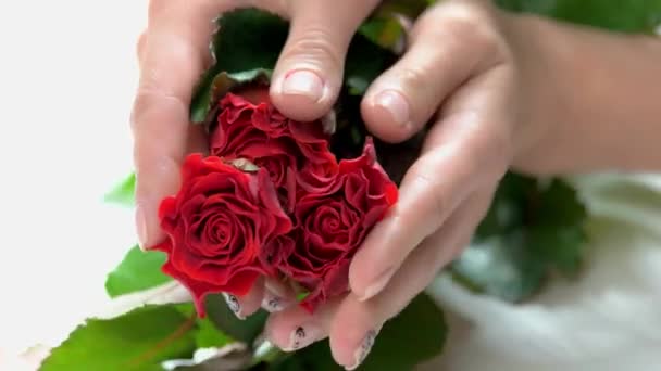 Fresh red roses in female manicured hands. — Stock Video