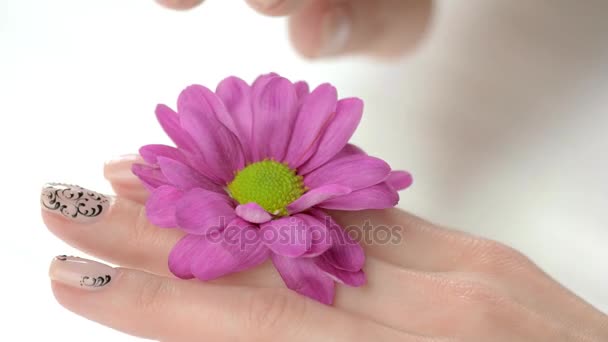 Gepflegte Hand berührt Blume sanft. — Stockvideo