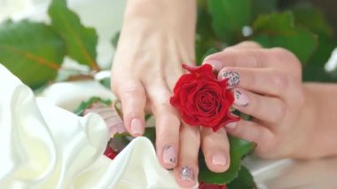 Bud kırmızı gül ve manikürlü eller.