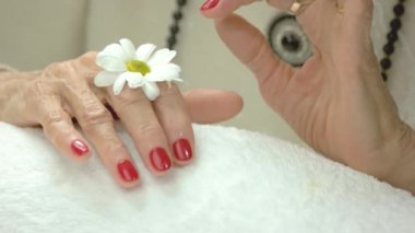 Manikürlü eller ve nazik krizantem.