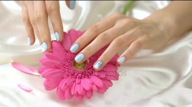Genç Eller hafifçe dokunarak pembe gerbera.