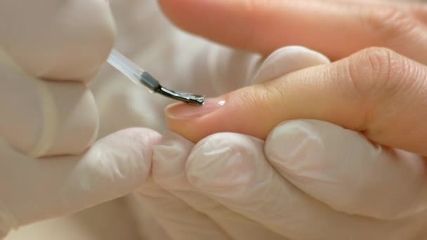 Close up manicurist applying varnish. — Stock Video