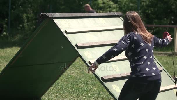 Lilla hunden klättrar. — Stockvideo