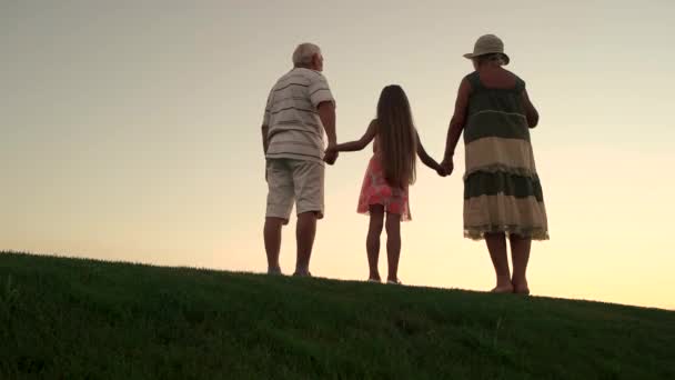 Дитина тримає руки з дідусем і бабусею, вид ззаду . — стокове відео