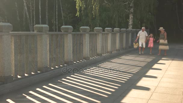 Mayores con nieto yendo de picnic . — Vídeos de Stock