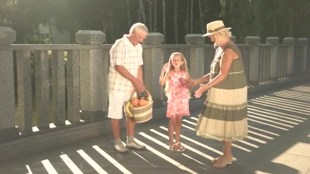 Nettes Senioren-Paar mit Enkelkind. — Stockvideo