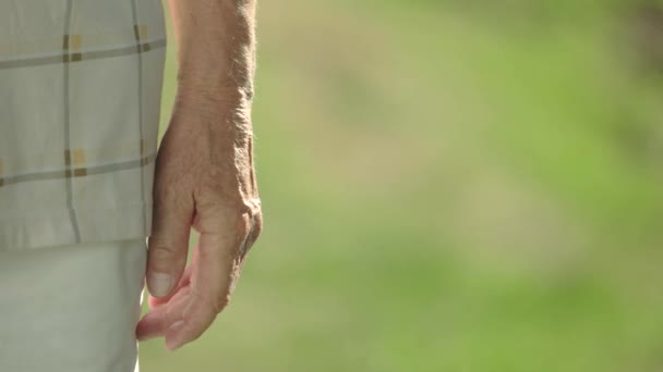 Couple âgé tenant la main. — Video