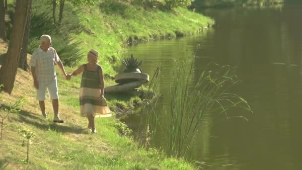 Bonito casal de idosos caminhando perto da água . — Vídeo de Stock