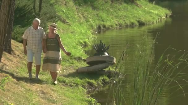 Couple aîné souriant près de l'eau . — Video