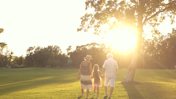 Grootouders en kleinkind wandelen buiten. — Stockvideo