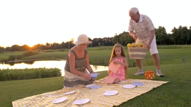 Ouderen en kind op picknick. — Stockvideo