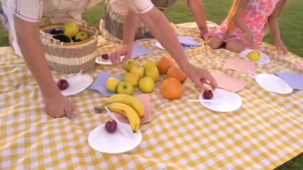 Grand-parents et petite-fille en pique-nique . — Video