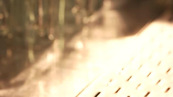 Coupe de mousse de bière, gros plan .