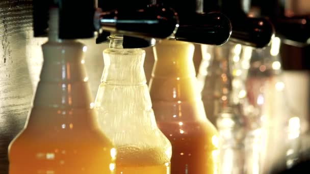 Bier kranen met verschillende soorten bier. — Stockvideo