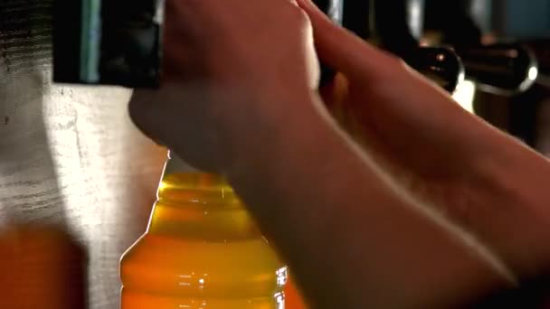 Barman removing beer bottles from beer taps. — Stock Video