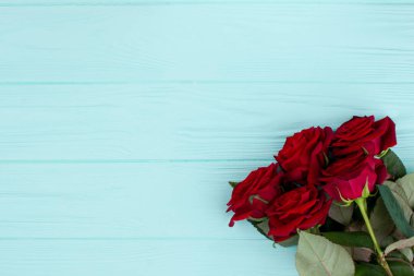 Buket gül, kopya alanı.