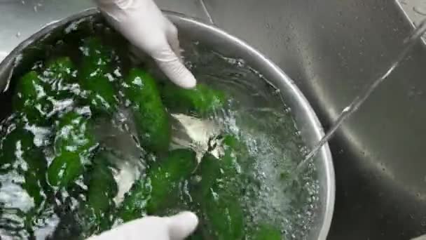 Manos lavando pepinos en slow-mo . — Vídeo de stock
