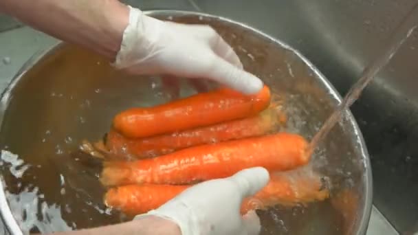 Manos lavando zanahorias . — Vídeo de stock