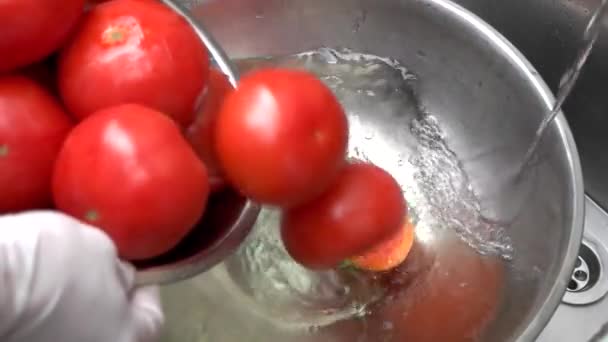 Tomaten fallen ins Wasser, langsam. — Stockvideo