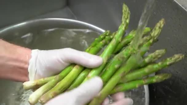 Hands washing asparagus close up. — Stock Video